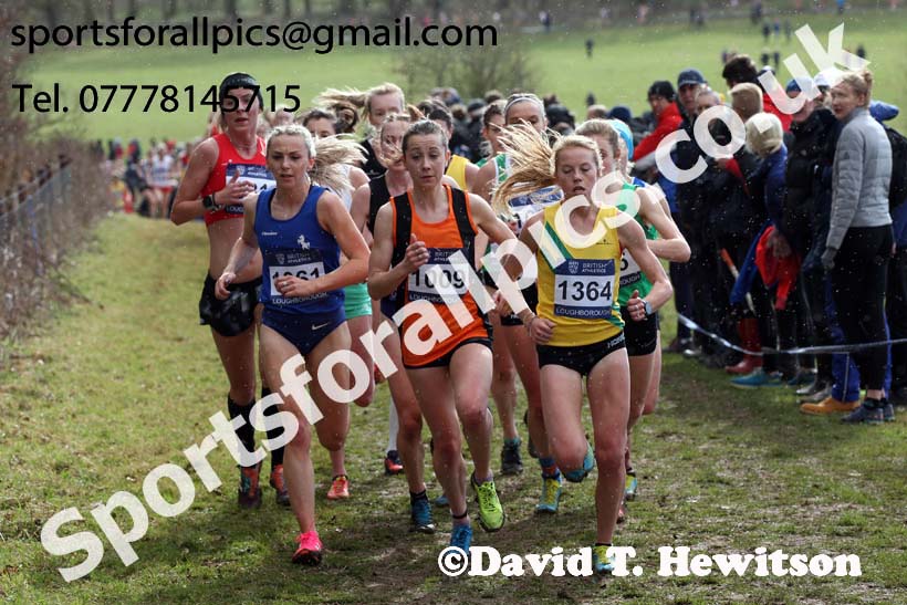 Senior womens 2019 British Athletics Inter Counties Cross Country, Prestwood Hall, Loughborough. Photo:  David T. Hewitson/Sports for All Pics